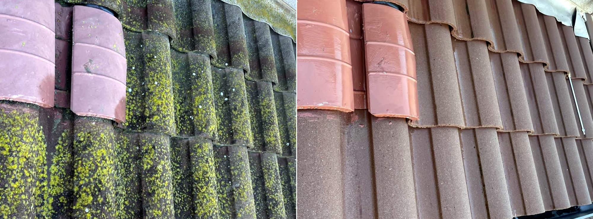 House Washing Service Southeastern GA