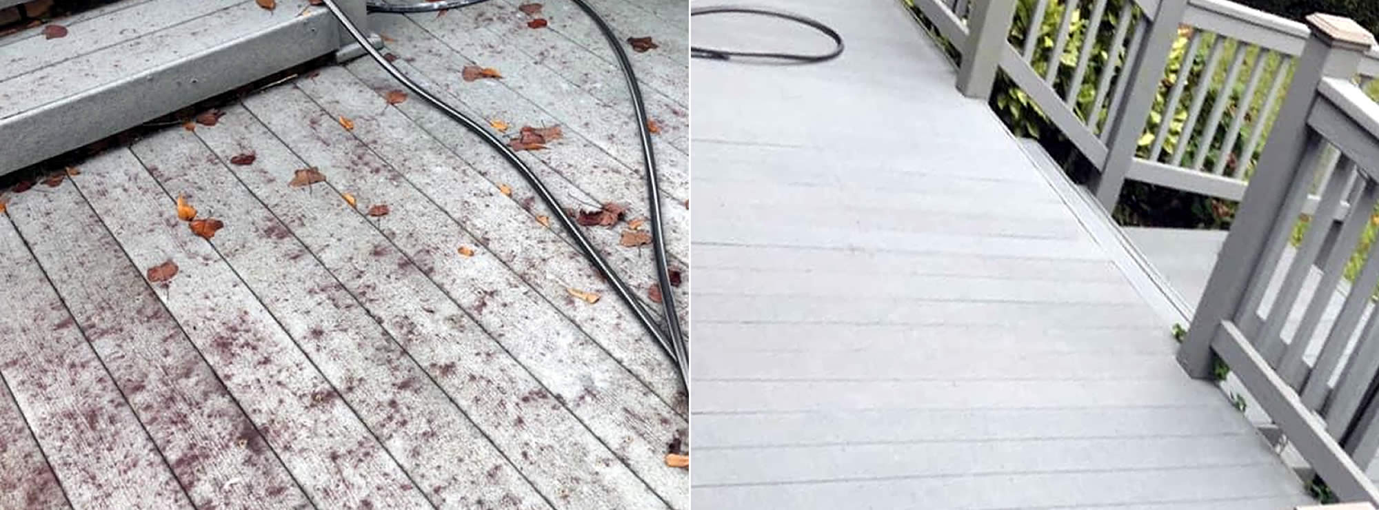 House Washing Service Southeastern GA