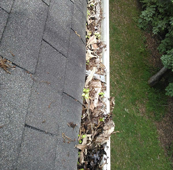 Gutter Cleaning GA